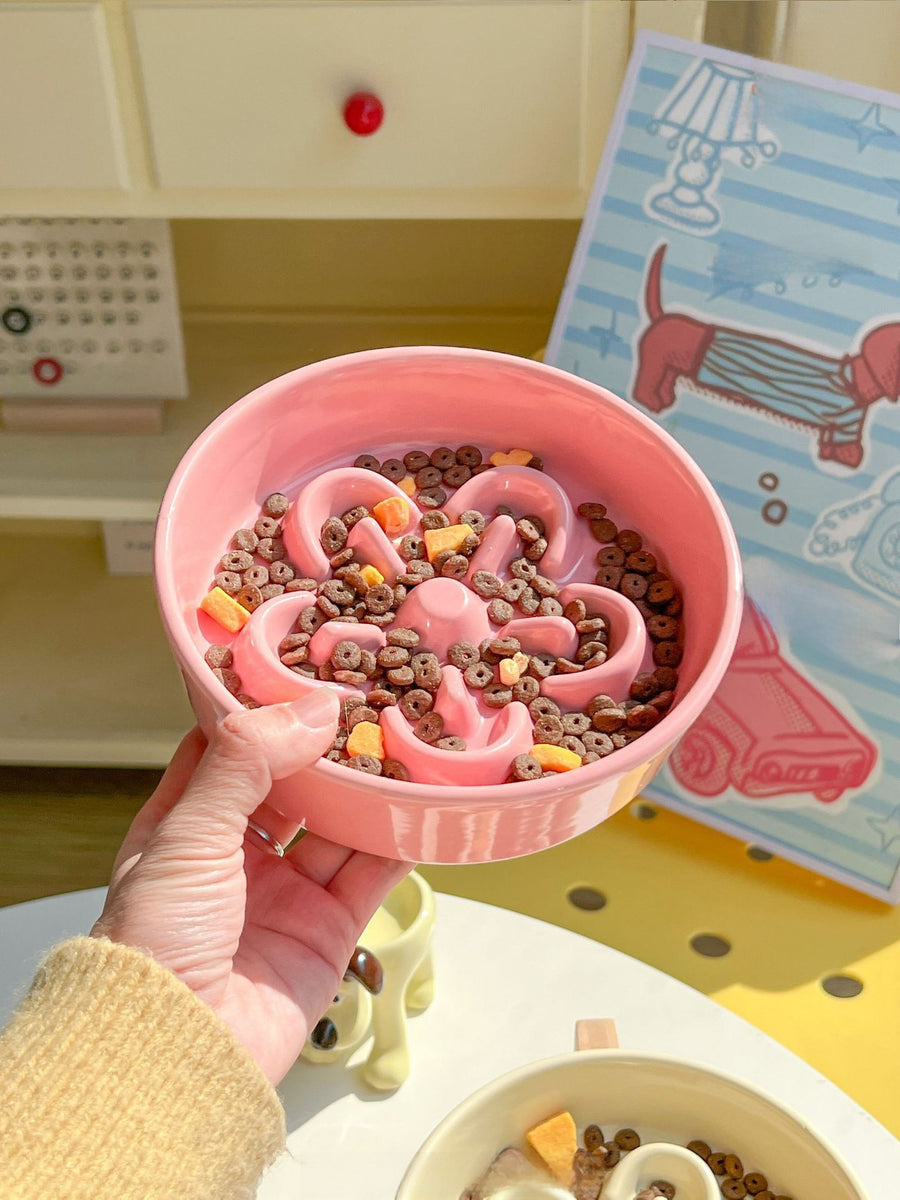 Ceramic Slow Feeder Pet Bowl with Elevated Stand