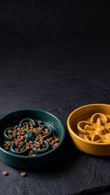 Two pet bowls, one green and one yellow, filled with pet food on a dark surface.