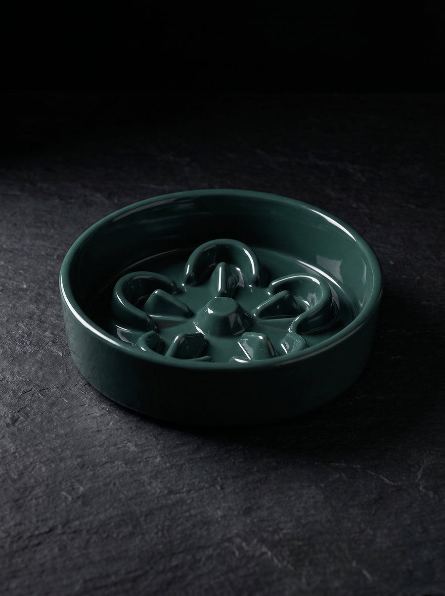 Pawze Ceramic Slow Feeder Bowl