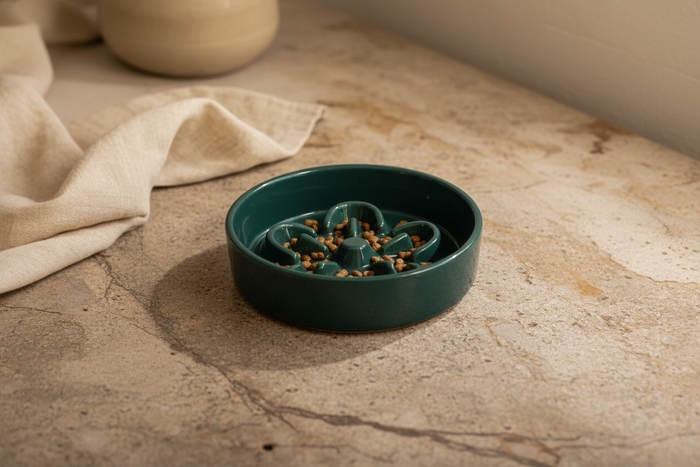 Pawze Ceramic Slow Feeder Bowl